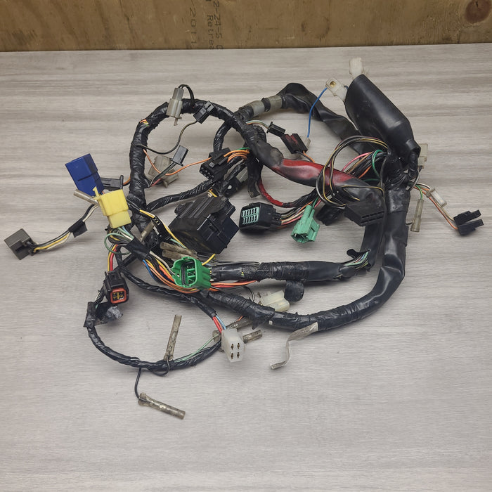 GSF250V Wiring loom