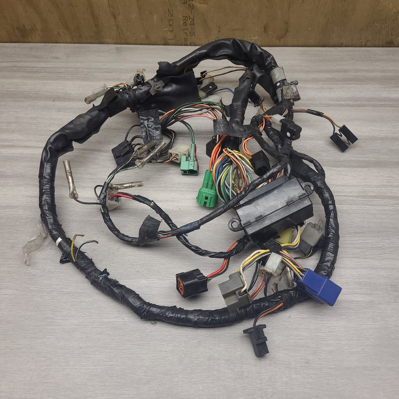 GSF250V Wiring loom