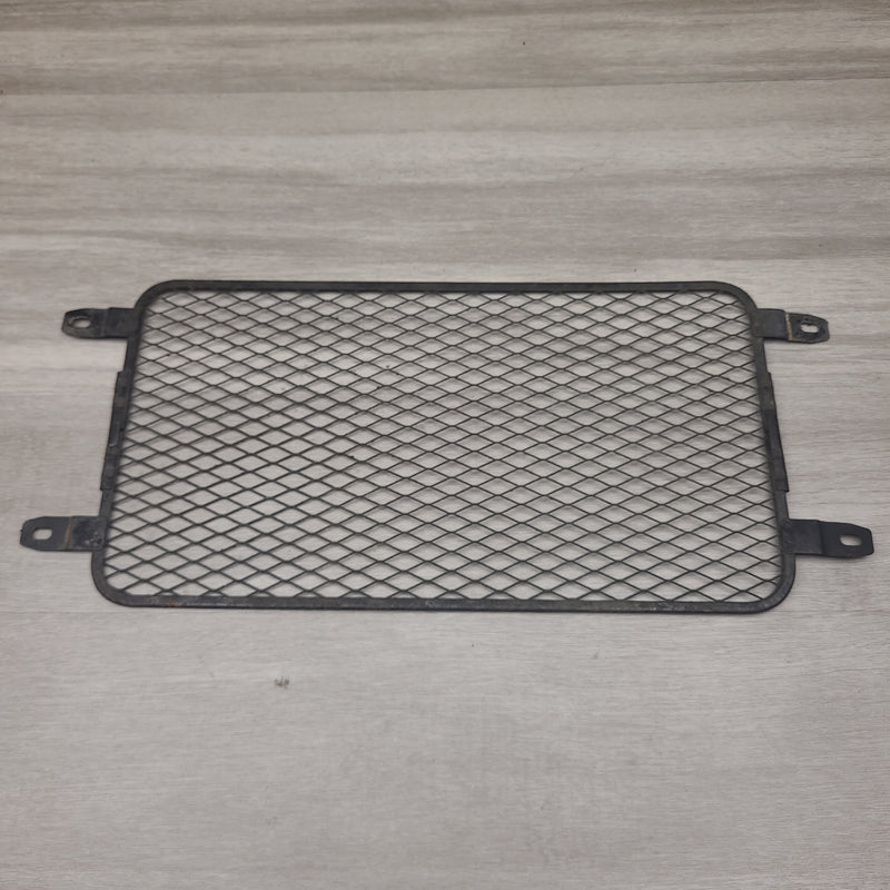GSF250V Radiator screen