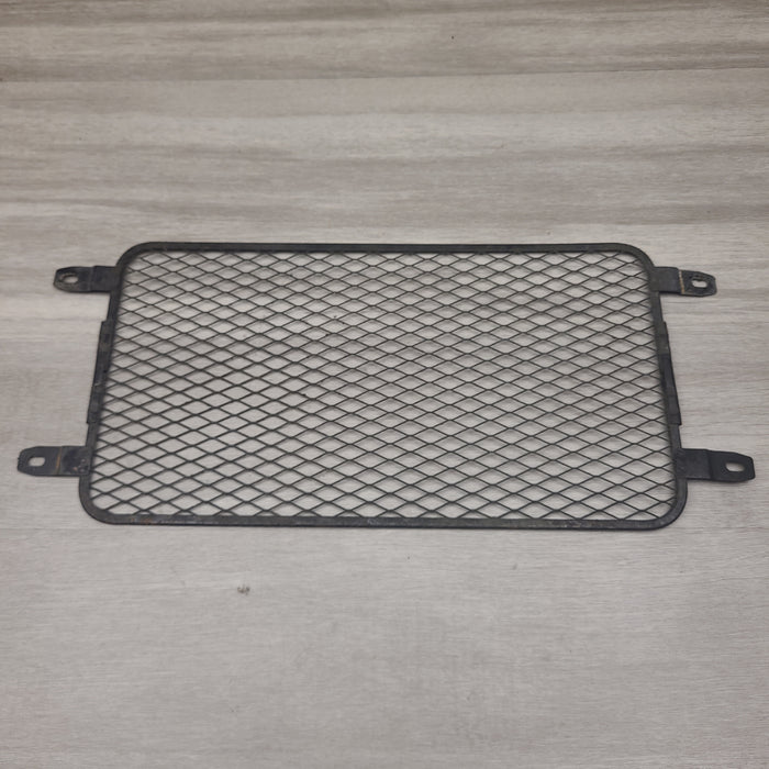 GSF250V Radiator screen