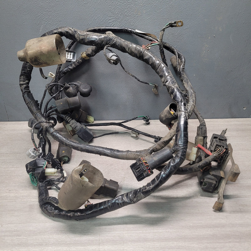 XL1000V Varadero (SD02) Complete wiring Loom