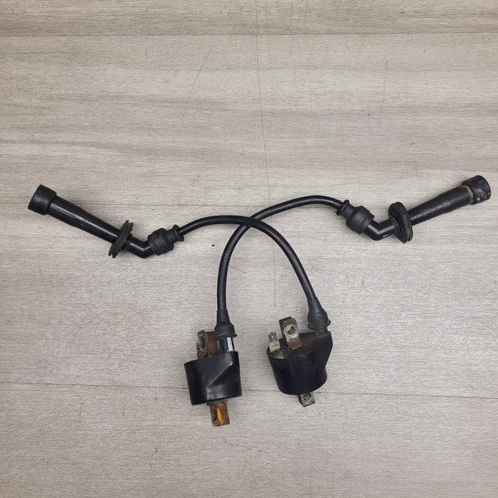 GSX250 Invader Coils