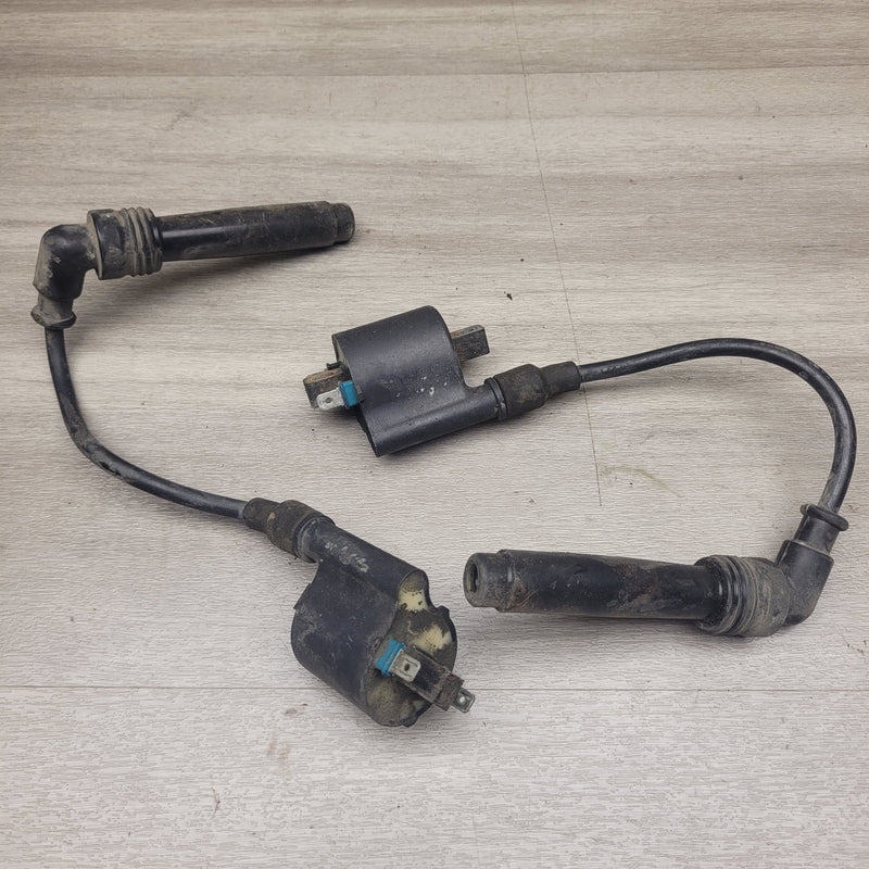EX250 Ninja Coils and Leads