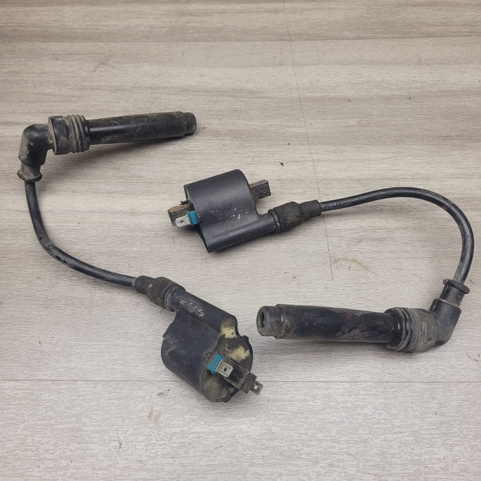 EX250 Ninja Coils and Leads