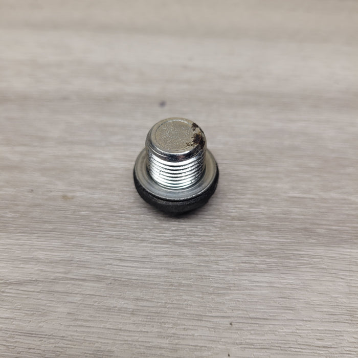 GT250R EFI Sump bolt