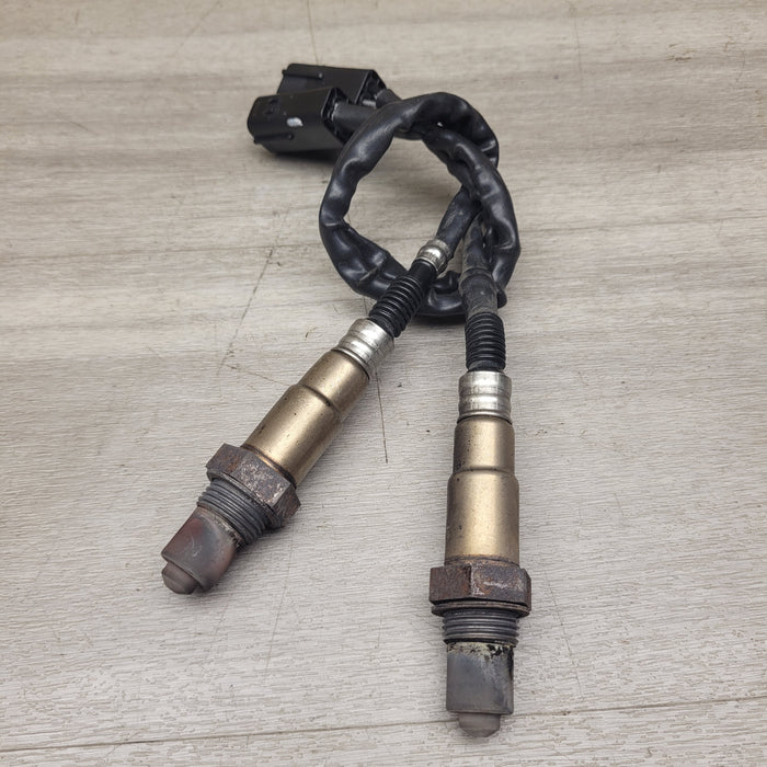 450 SR (2024) O2 Sensors
