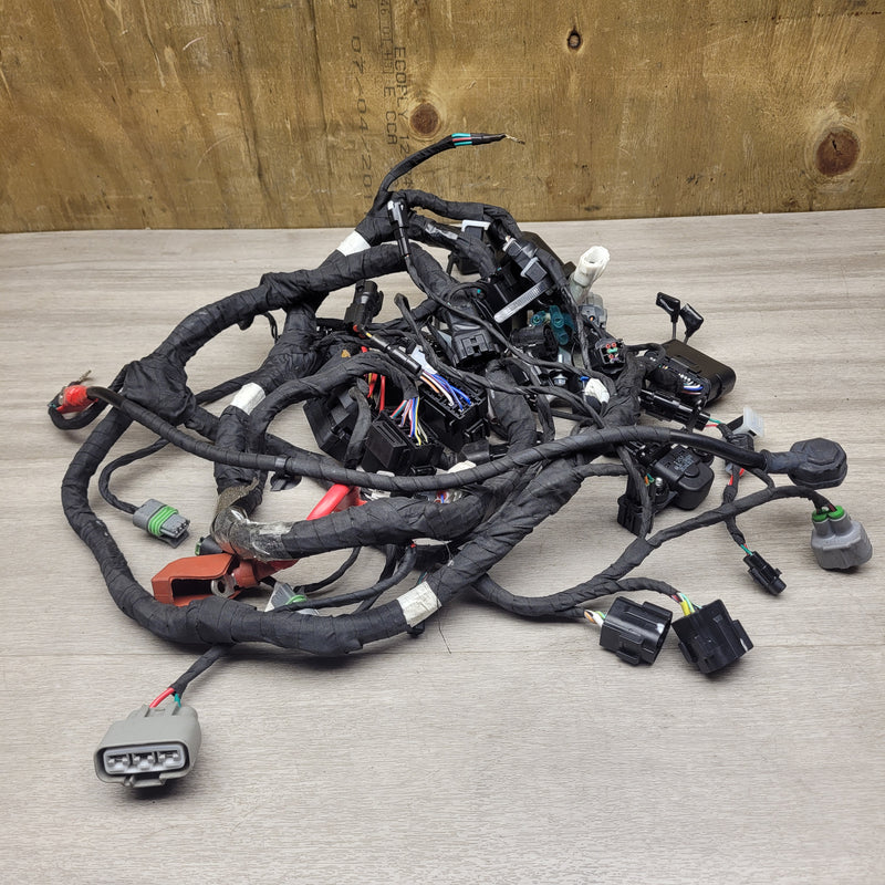 450 SR (2024) Wiring loom