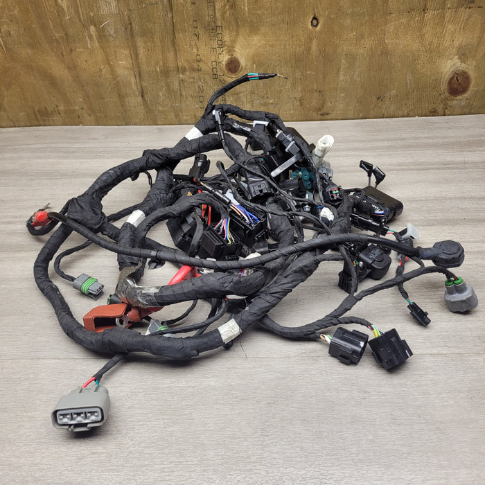 450 SR (2024) Wiring loom