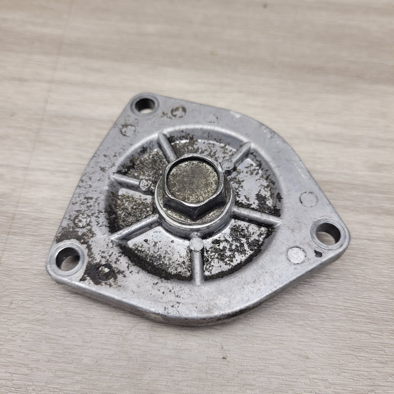 GT250R EFI Lower engine plate