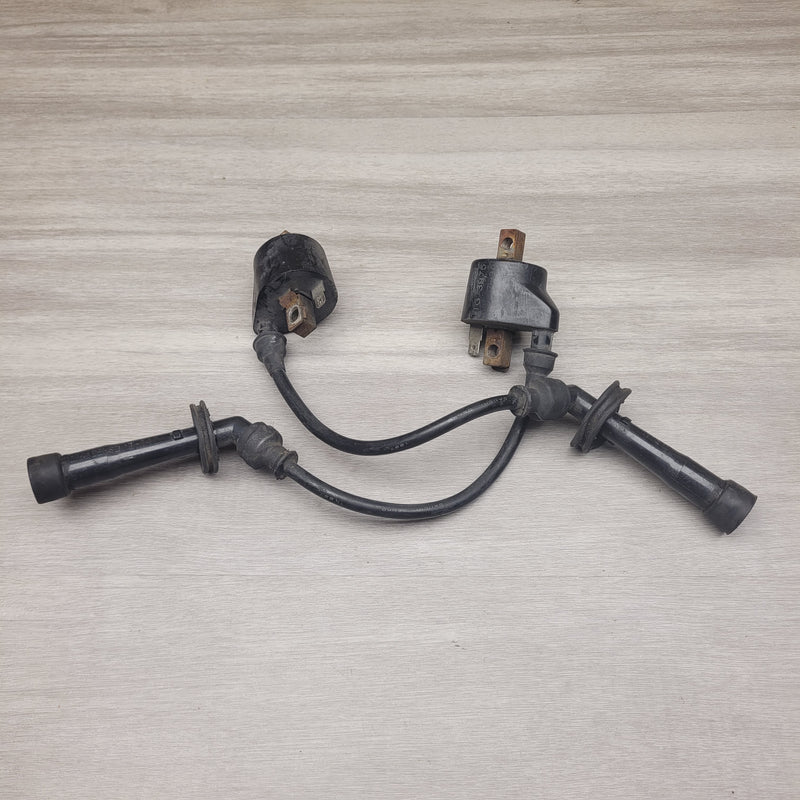 GSX250 Invader Coils