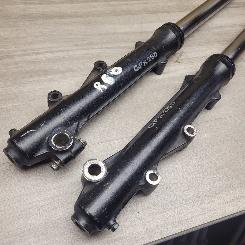 GPX250 Forks