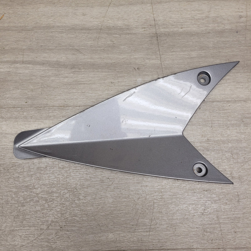 GT250R Right side fairing insert