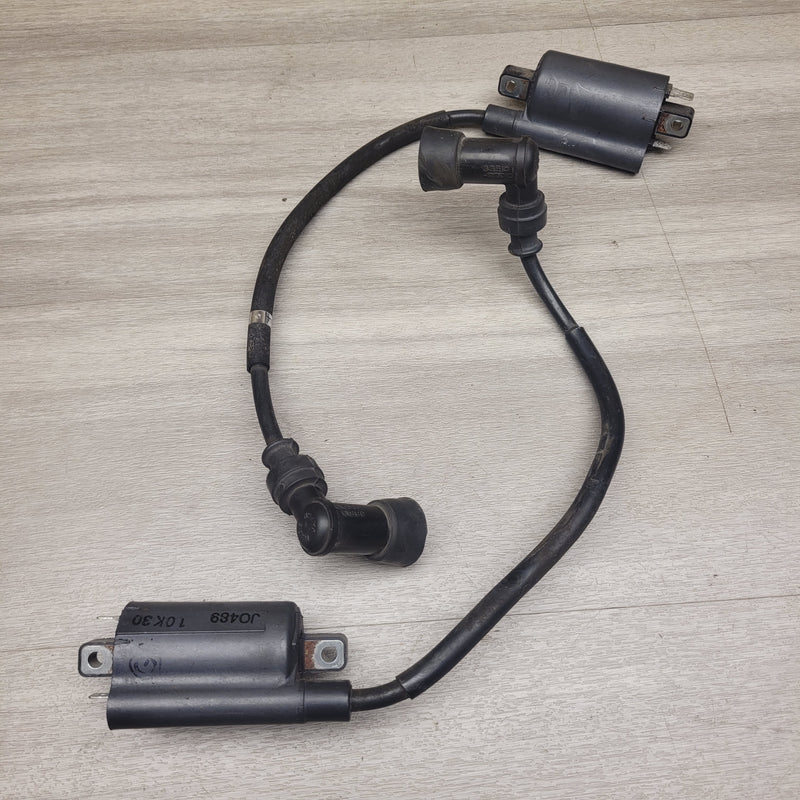 VL250 Intruder Coils