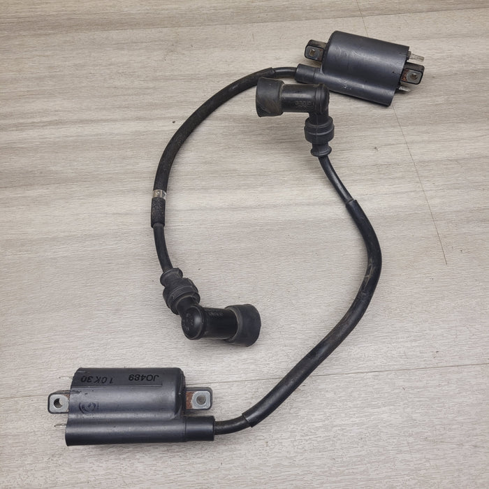 VL250 Intruder Coils