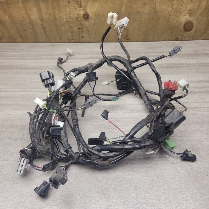 EX250 Ninja Wiring Loom