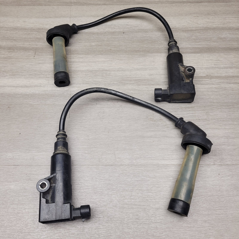 GT250R EFI Coils